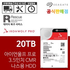 씨게이트 아이언울프 프로 20TB ST20000NT001 NAS 하드디스크 - 아이언울프프로