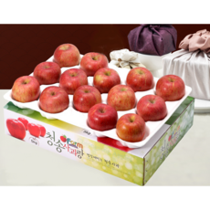 [코코멜로] 청송 산지직송 명절 사과선물세트 2.5KG 옵션별 구성 맛보장, 1개, 2호(9-10과)상품