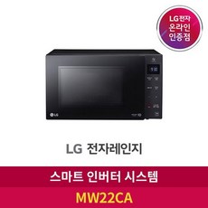 lg전자스마트인버터전자레인지22l