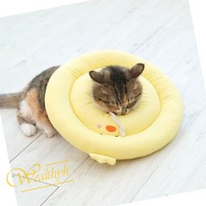 WH 베프카라 블루 곰 XL 상처보호, 1개