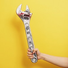 로버스타몽키