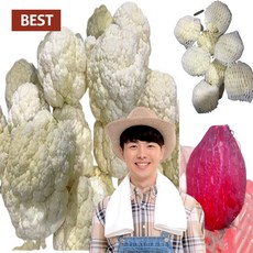 브로콜리밥