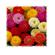 14c3d6159b58d7ebf5597817a727eacece5ac42ed3276f0a8869567a7f1c.png