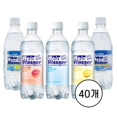 라인바싸 탄산수 500ml PET 20입+20입 총40개 플레인 레몬 자몽 등 택1