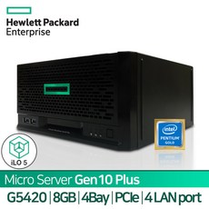 HPE Micro Server Gen 10 Plus Pentium G5420 with iLO