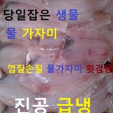 (쌍다리상회)가자미 물가자미 껍질손질 세꼬시 횟감1kg 진공급냉, 1kg, 1개