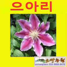 d5fb2692c4f8f104a1408b1b3339d0167e7590e7f71e2e3e78beef2e775c.png