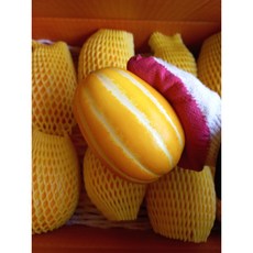 성주참외10kg-추천-상품
