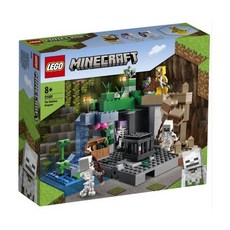 LEGO 21189 - 스켈레톤 던전 / 레고 정품 마인크래프트