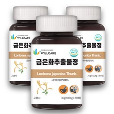 윌케어 금은화 인동꽃봉오리 추출물정 600mg x 60정