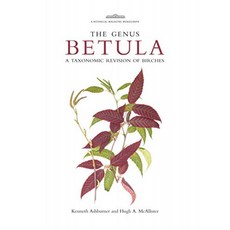 속 Betula : 자작 나무의 분류 학적 개정, 단일옵션