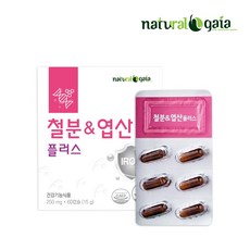 철분앤엽산플러스 비헴철 철분영양제, 1개, 60정