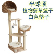 c92e24852af4dcc826bd26f32eb3d161276c3ab29c0c55d3fff645a7fc27.jpg