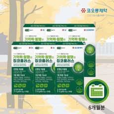 단기기억