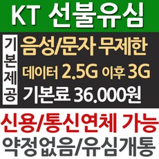 프리텔레콤유심