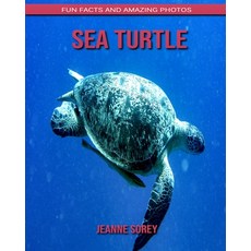 Sea Turtle: Fun Facts and Amazing Photos Paperback, Independently Published