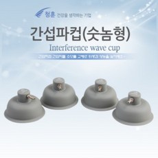 간섭파 TOP01