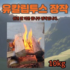 유칼립투스 캠핑용 참나무 장작 완벽건조 연기없는장작, 1개