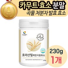 카무트 곡물 발효 소화 효소 호라산밀 분말 가루 고소한 천연 카뮤트 카무드 추천 탄수화물 단백질 분해 역가수치 식이섬유 복합 저분자 파우더 식약청 인증 HACCP 해썹_내일건강, 1개, 230g