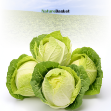 Naturebasket의국내산100% 신선 양배추 6~7kg (3통), 6.5kg, 1개