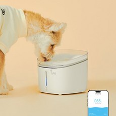 페페 강아지 고양이 UV살균 정수기 CW-100, 단품