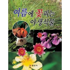 여름에 꽃피는 야생식물, 일진사