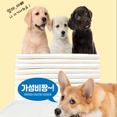 대용량 특대 사이즈 강아지 배변패드 140cmx100cm 40-80매, 1팩, 50개입 - 1팩배변패드