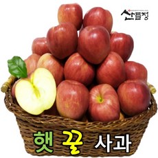 경북사과 햇 꿀 홍로 빨간사과10kg 5kg 3kg [산지직송] 산들정, 1box, 01. 사과 3kg (11~15과 내외) 가정용 흠과