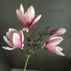 fa922376e3ed5a8c8eade165da7676dc67141ede17ff8837d7c6266ba6e6.jpg