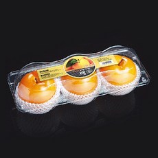 파텍7118