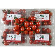 산지직송 프리미엄 고당도 저칼로리 스테비아 방울 토마토 건달마토 당일수확 선별후 발송, 스테비아 방울 토마토 500g, 4개