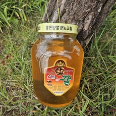 유자차 유자청 생강차 생강청 자몽차 자몽청 청귤차 모과차 모과청 레몬차 한라봉차 2KG 1병, 아카시아 꿀, 1개, 1개입