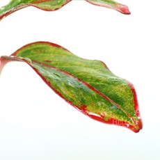경남사천아쿠아리움