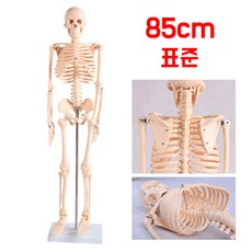 04feabe7ccff7145bf210d190925aed9c4e7ef6e06f5570dd23f6e725cd1.jpg