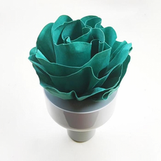 761ae3315f590605ac29c24febe57afd4a43baec8262c6eee2baf7b4c1e9.png