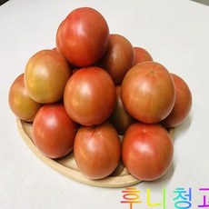 후니청과 신선한[특품]완숙 찰토마토(동양종), 1박스, 5kg(4번)동양종