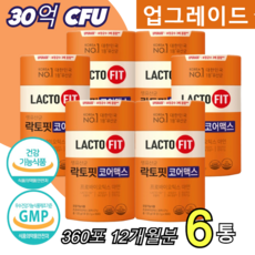 하루1포씩 락토핏 생유산균 코어맥스 종근당 30억CFU 락토피 LACTO FIT 유산균 랏토핏 락토픽 라토핏 라토픽 라토피 락토피 라톳피 식약처인증 정품 홈쇼핑 방송 건강 대용량, 6개, 60개