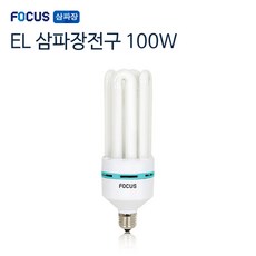 장미전구