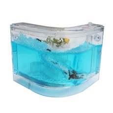 개미집개미관찰ㄱ자형하우스