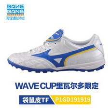 모렐리아웨이브