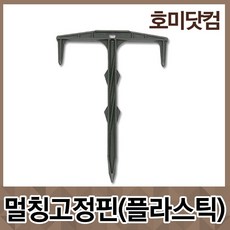 //상품명