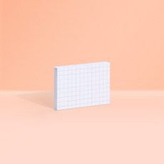 모트모트오로라스틱