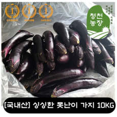 [국내산] 싱싱한 못난이 가지 10KG 신선 먹기편한 안전한 먹거리 몸에좋은 영양소 건강에 좋은 음식 반찬 맛있는 샐러드 가지나물 신선식품 산지직송 신선한가지 당일수확 업소 대용량, 10개