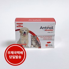 안티놀 래피드 강아지 관절영양제 90정 - 우체국택배 당일발송 /포더펫(ForThePet)