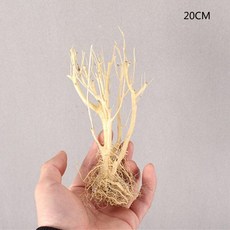 수초바닥재 작은 수족관 유목 DIY 수중 다기능 조경 어항 환경 1 개 3140886179, 1개
