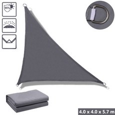 옥스포드블루베리