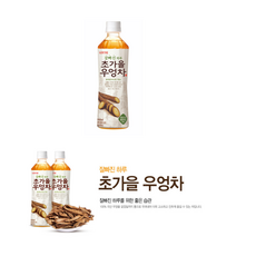 롯데칠성 초가을 우엉차 500mlX24pet, 500ml, 24개