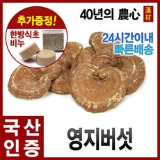자애인 국산 영지버섯 (통) 600g 통영지버섯 건조버섯, 1개