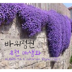 d51735d4af014040f9a5beb6b34933e814769d500df0753949b08a27cd67.png