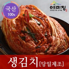 예미정 안동 생김치 김치주문 국산김치 5kg, 1개